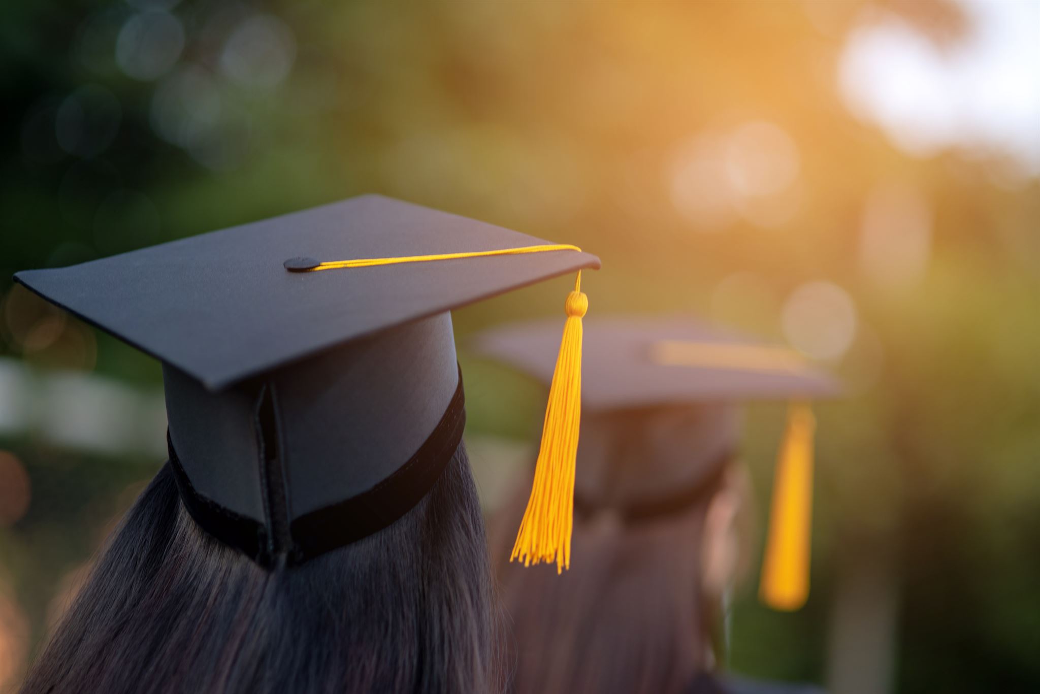 Back-photo-of-a-graduate-with-a-cap-on